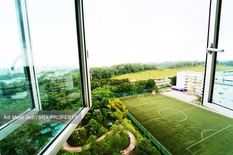 Senja Road thumbnail photo